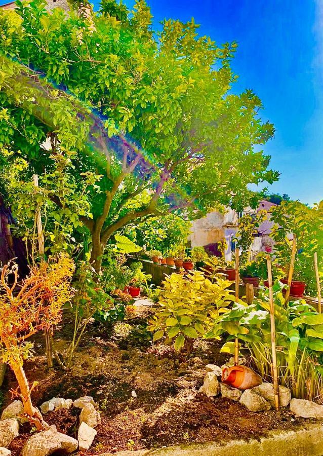 Borgo Virginia - Sea View In Amalfi Coast Apartment Vietri sul Mare