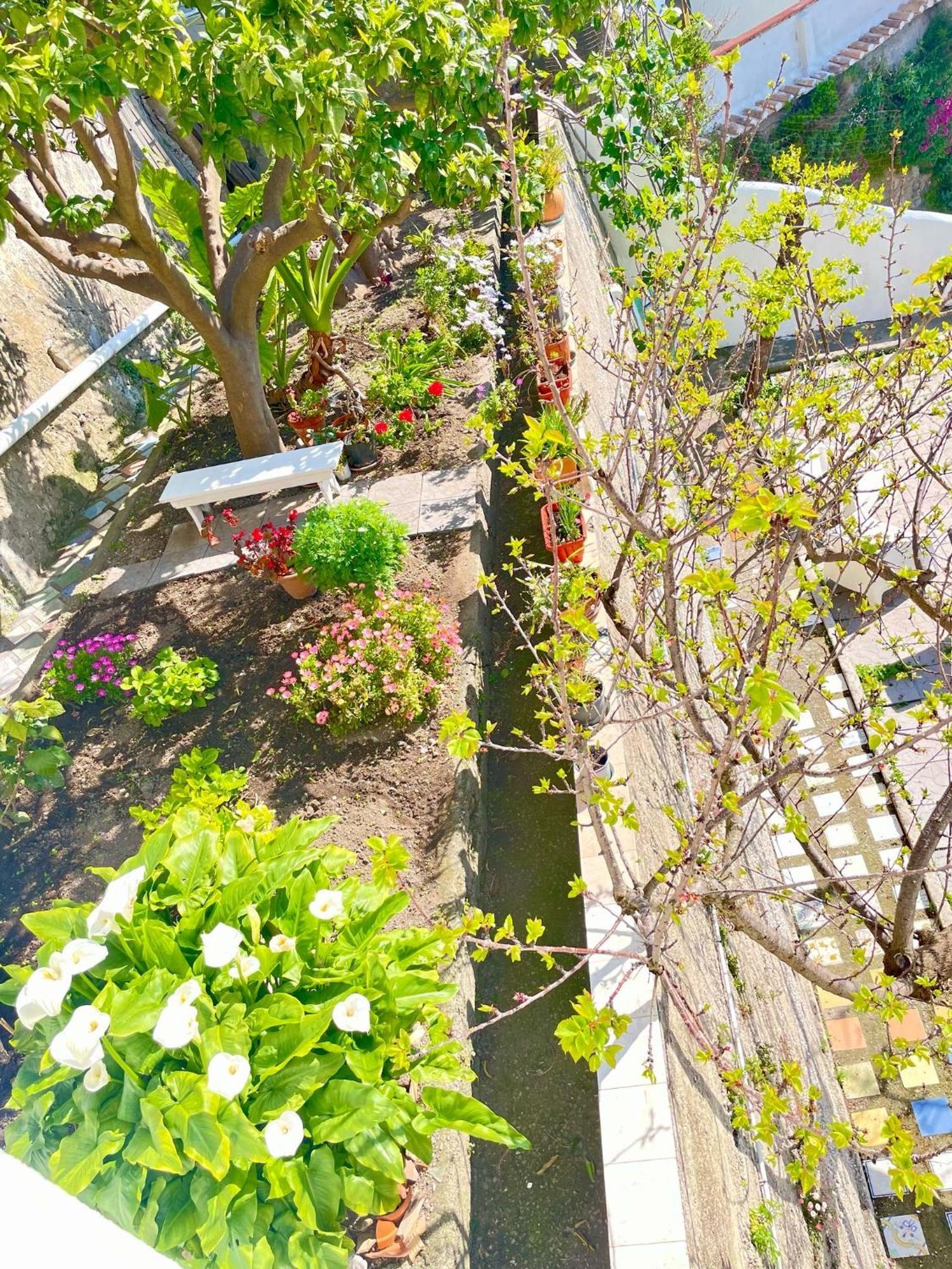 Borgo Virginia - Sea View In Amalfi Coast Vietri sul Mare