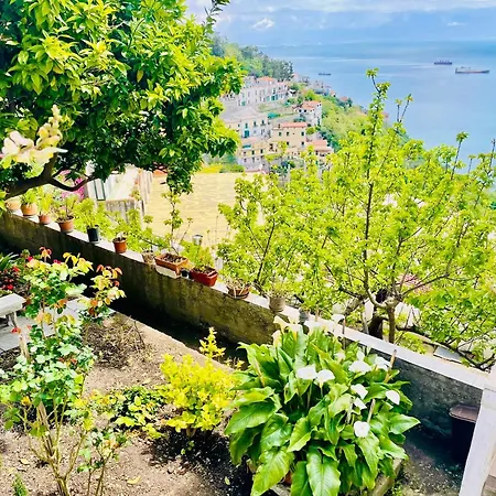 Borgo Virginia - Sea View In Amalfi Coast Apartment Vietri sul Mare Exterior photo